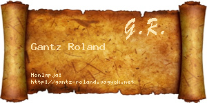 Gantz Roland névjegykártya